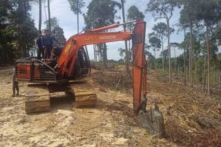 Kasus Perambahan Kawasan Hutan untuk Kebun Sawit, DLHK Riau akan Panggil Pemilik Alat Berat