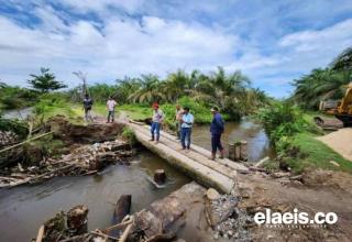 Sejumlah Infrastruktur Kebun Sawit di Sumbar Rusak Akibat Banjir, Apkasindo: Tidak Terlalu Parah