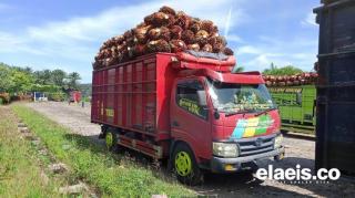 Dikeluhkan Petani, Truk Muatan Sawit yang 