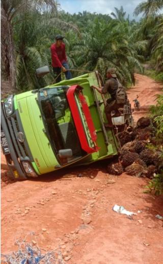 Gara-gara Jalan Kebun Rusak, Supir Truk Potong Harga TBS Sawit Rp 200/Kg