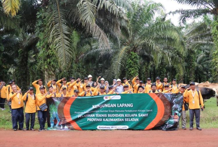 Tambah Wawasan, Pekebun Sawit Diajak Longok Aktivitas Perusahaan Sawit