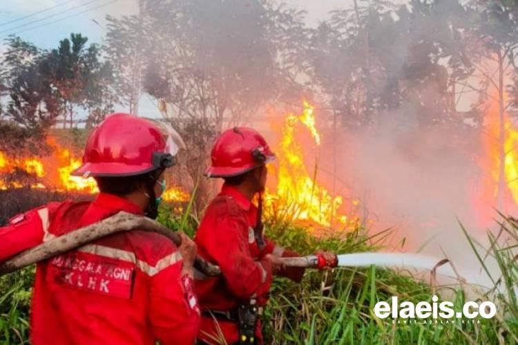 Cegah Karhutla, Perusahaan Ini Latih Petani Sawit di Pelalawan 