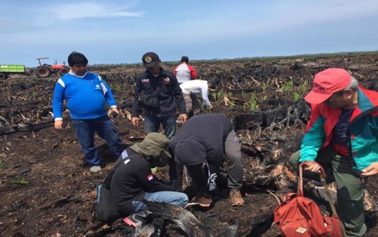 PK Dikabulkan, MA Hukum Korporasi Sawit Bayar Ganti Rugi Lebih Rp 175 Milyar