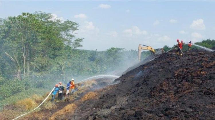 Dekat dengan Lokasi Karhutla, Limbah Pabrik Sawit Ikut Terbakar