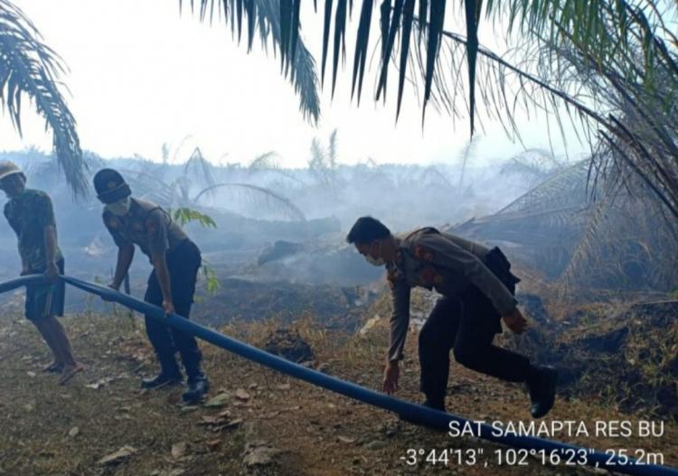 Larangan Pembersihan Lahan dengan Metode Bakar Terus Disosialisasikan ke Petani Sawit