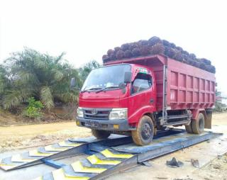 Petani Desak Pemda Tutup Loading Ramp Sawit