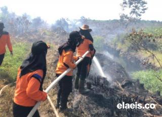 Sekitar 20 Hektar Lahan Korporasi di Inhu Ludes Terbakar, Sebagian Besar Sudah Berhasil Dipadamkan