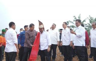 Mentan SYL Tanam Jagung di Kebun Sawit di Serdang Bedagai