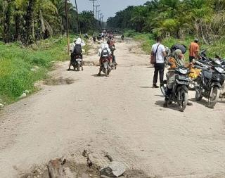 Kondisi Jalan Rusak, Proses Angkut Sawit Makan Waktu 3 Hari, Harga Jual Hanya Rp1.500/Kg