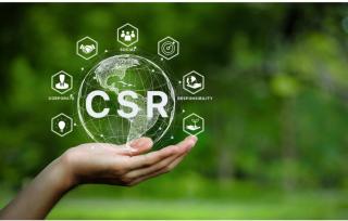 Masih Ada Perusahaan Sawit di Bengkulu Tak Laporkan Program CSR, Kenapa?