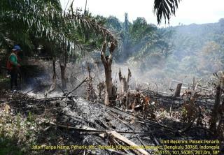 Cegah Kerugian Akibat Karhutla, Petani Sawit Disarankan Lindungi Kebun dengan ini