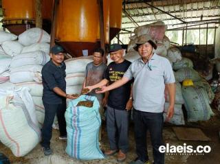 PKS Mini Sangat Membantu Petani Kelapa Sawit di Babel, Apkasindo: Harga Menjadi Stabil