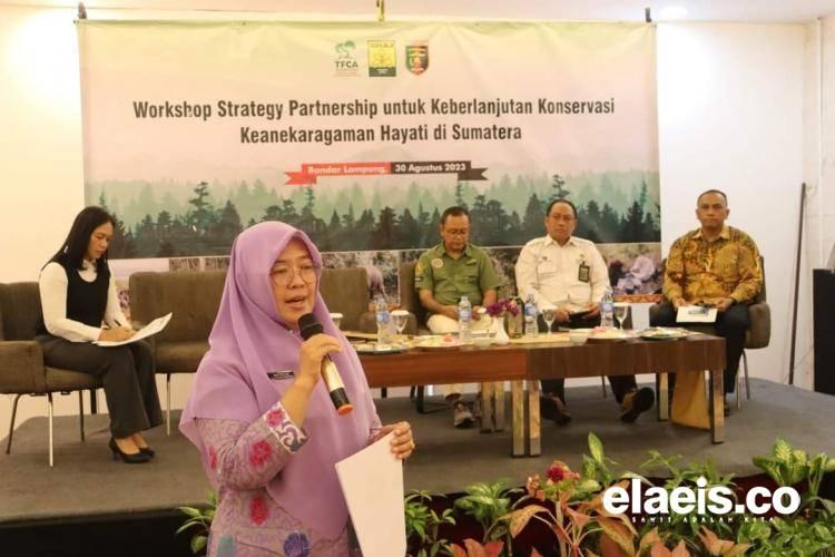 Agar Tak Tertipu Membeli Kebun Sawit, Dinas LHK Bengkulu Siap Berikan Layanan Konsultasi