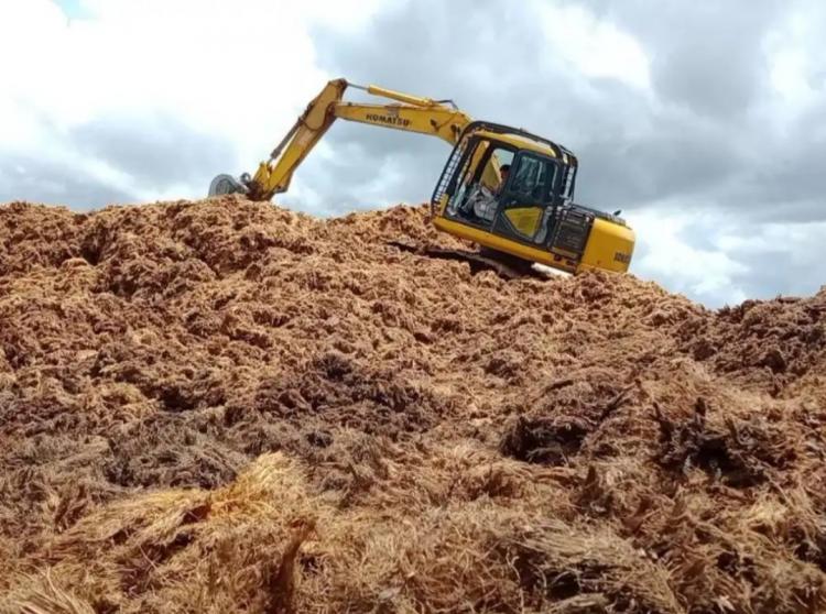 Petani akan Difasilitasi Dapatkan Tandan Kosong Gratis dari Pabrik Sawit