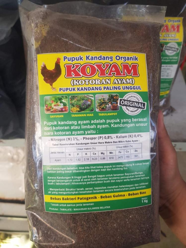 Kotoran Ayam Paling Bagus untuk Sawit Dibanding Pupuk Kandang Lain, Mengapa?