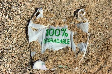 Ternyata, Minyak Sawit Bisa Jadi Bahan Baku Plastik Biodegradable