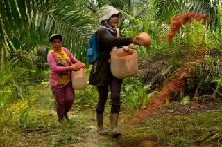 Masih Rendah, BPJS Ketenagakerjaan Pasaman akan Intens Rangkul Pekerja Informal Termasuk Pekebun