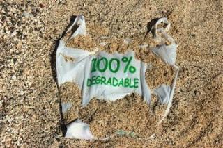 Ternyata, Minyak Sawit Bisa Jadi Bahan Baku Plastik Biodegradable