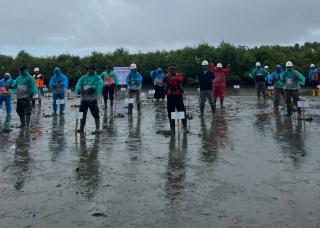 Perusahaan Sawit ini Tanam 40.900 Mangrove dan Gagas Aksi Bersih Pantai