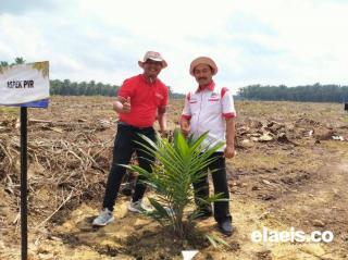 Ketum Aspek-PIR Sambut Baik Rencana Pola Penyaluran Bantuan Sarpras, Minta Mudah Diakses Petani