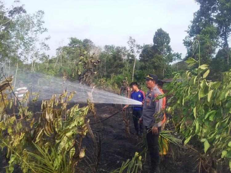 Kasian! Kebun Sawit Pak Kades Ini Terbakar karena Puntung Rokok