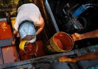 Harga Jual CPO dan Kernel di Riau Masih Fluktuatif 