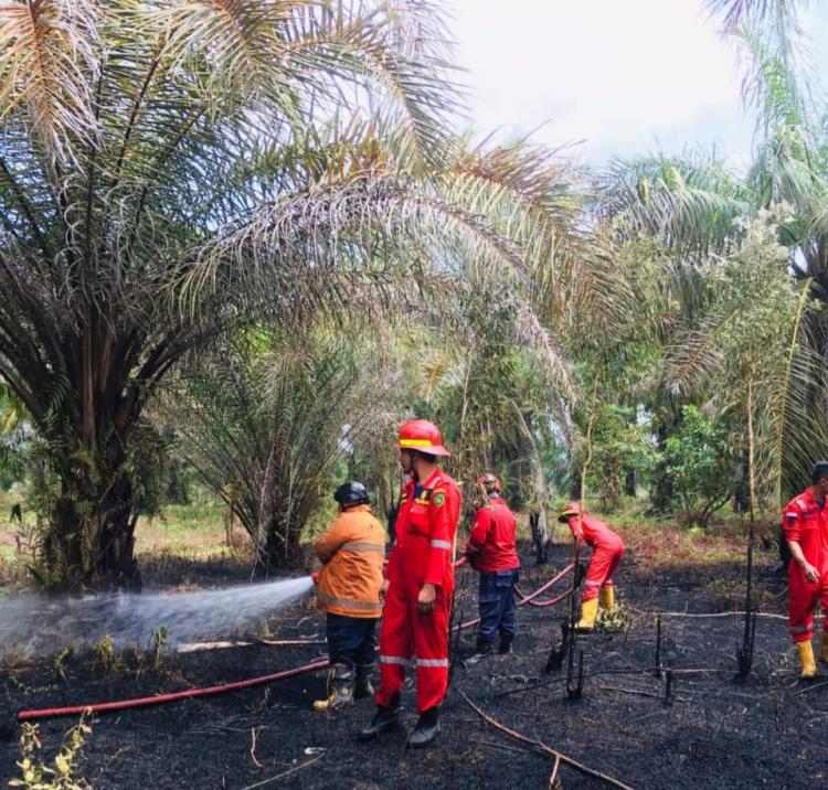 Karhutla Makin Merajalela, Damkar Mukomuko Butuh Suntikan Dana