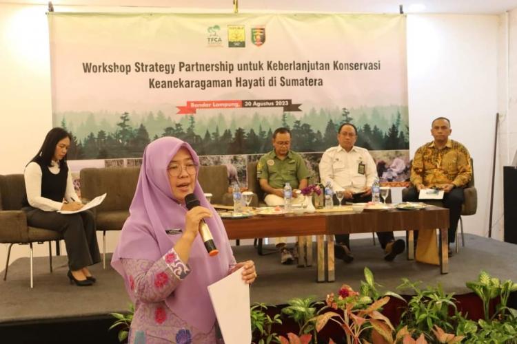 DLHK Bengkulu Minta Kades Tindak Tegas Kebun Sawit Dalam Kawasan Hutan 