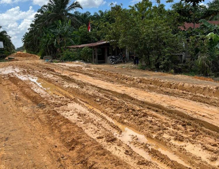 Tidak Kunjung Diperbaiki, Jalan Rusak Membuat Petani Sawit Makin Sengsara