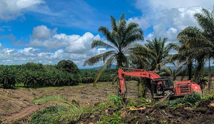 Berharap PSR Dapat Tingkatkan Produktivitas 