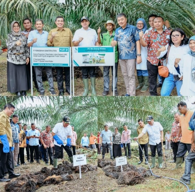 Pupuk Organik Berbahan Limbah Sawit Jadi Solusi Kelangkaan Pupuk Kimia di Batu Bara