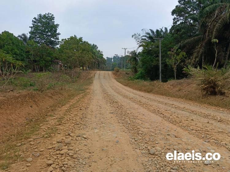 36 Persen Jalan di Bengkulu Tengah Belum Mulus