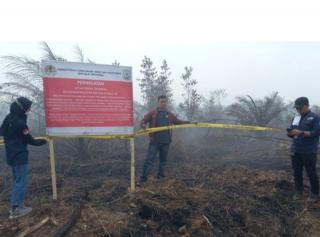 Terbakar, Ribuan Hektar Lahan Perusahaan Disegel KLHK