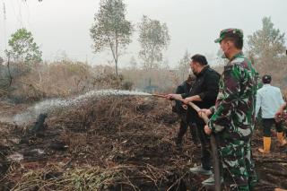 Cegah Merambat ke Kebun Sawit, Kementan Bantu Padamkan Kebakaran Gambut di Kalsel