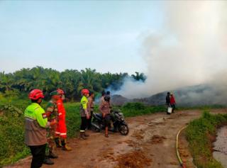 Makin Luas, Lebih 537 Hektar Lahan Terbakar di Paser