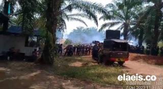 Perlu Duduk Bersama, Cara Mengurai Konflik di Perkebunan Sawit