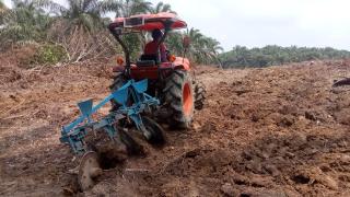 Soal Realisasi PSR di Merangin, Begini Harapan Petani Sawit