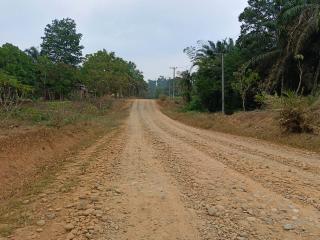 Untung Kemarau, Kalau Enggak Akses Petani Sawit Tanjung Harapan Terhambat