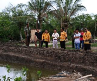 Perusahaan Sawit ini Latih Masyarakat Budidayakan Ikan Bandeng Tanpa Merusak Mangrove