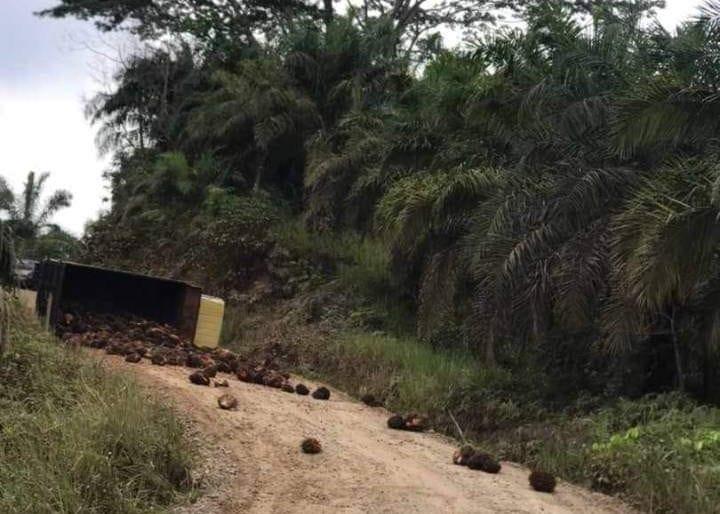 Akibat Jalan Belum Diaspal, Truk Muatan Sawit Terguling di Gunung Payung