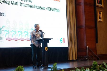 Tingkatkan Produksi Jagung, Kementan Optimalkan Lahan Kelapa Sawit