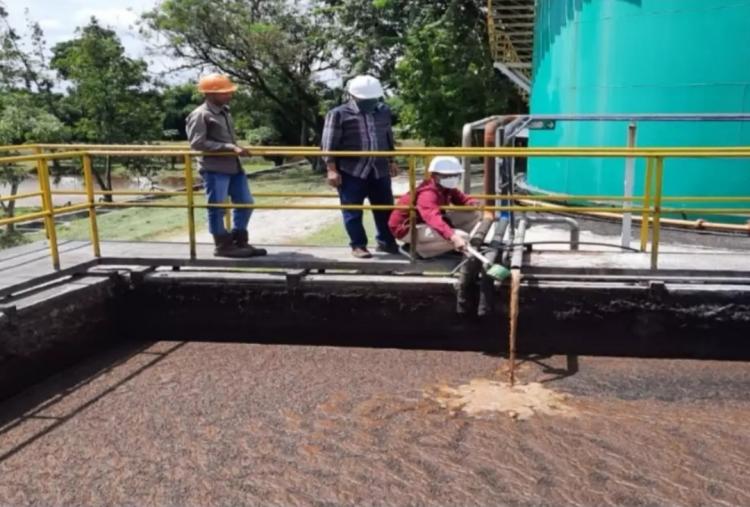 Alternatif Pengganti Minyak Bumi, Limbah Cair Sawit Dikembangkan Menjadi Biogas 