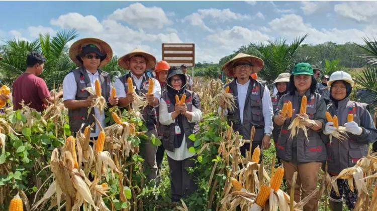 BRIN Wujudkan Ekonomi Sirkular dengan Optimalisasi Area Replanting Sawit