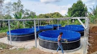 Petani Sawit Diajak Budidaya Ikan Sistem Bioflok untuk Tambah Penghasilan