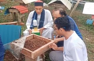 Petani Sawit Diajak Budidaya Lebah Trigona 