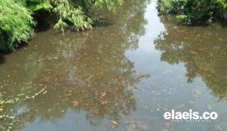 Alamak! Sungai Selali Berubah Warna Jadi Hitam dan Berminyak, Diduga Tercemar Limbah PT Sinar Bengkulu Selatan