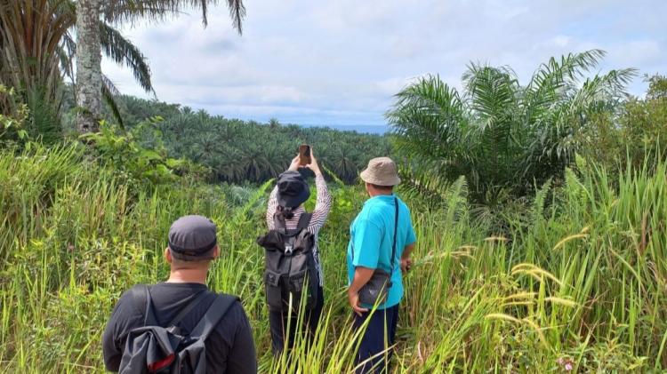 BPKP Hitung Kerugian Negara Akibat Penyelewengan Program PSR di Sanggau