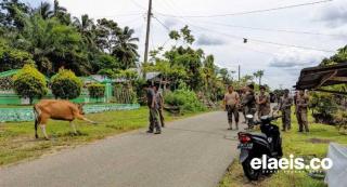 Satpol PP Mukomuko Kewalahan Hadapi Ternak Milik Petani Sawit, Patroli akan Lebih Diintensifkan