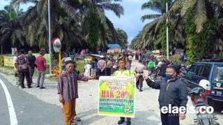 Tuntut Kebun 20%, AMA Geruduk PT SIR