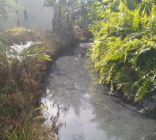Terulang Lagi, Limbah PKS Cemari Sungai Ngaso